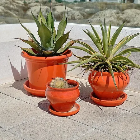 Villa Casa Belita Vistabella (Valencia)