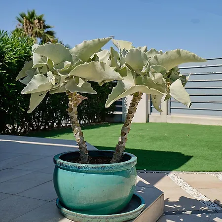 Villa Casa Belita Vistabella (Valencia)